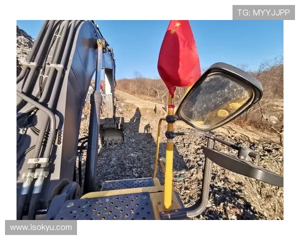 挖掘机驾驶室翻滚保护结构标准